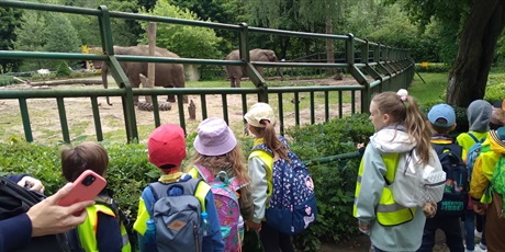 Powiększ grafikę: We wtorek dzieci z grupy OA były na wycieczce w Zoo. Pogoda i humory dopisały!