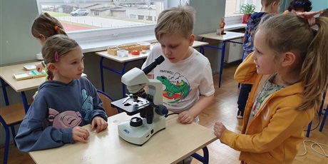 Powiększ grafikę: 3 - Miłosz, Lena i Julka obserwują pod mikroskopem pantofelka.