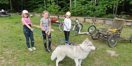 Powiększ grafikę: Martyna, Sofia i Inka przygotowują psa do spaceru