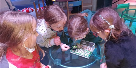 Powiększ grafikę: Martyna, Hasia, Asia i Lena oglądają mrówki przez lupę.
