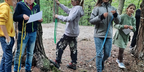 Powiększ grafikę: 1.	Grupa uczniów z klasy 4a i 4b wraz z nauczycielem przyrody stoi w lesie.