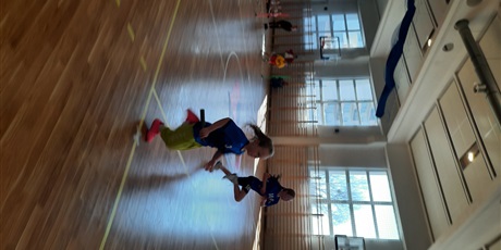 Powiększ grafikę: sztafety-sprawnosciowe-wyscigi-rzedow--686509.jpg