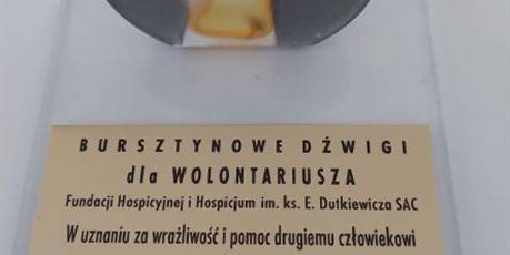 Powiększ grafikę: tytul-honorowego-wolontariusza-dla-sp17-342475.jpg