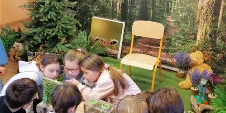 Powiększ grafikę: Uczniowie z 2a poznają tajemnice świata mrówek. 