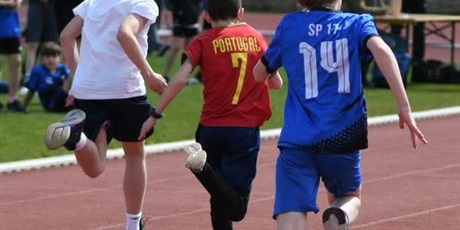 Powiększ grafikę: zawody-690079.jpg
